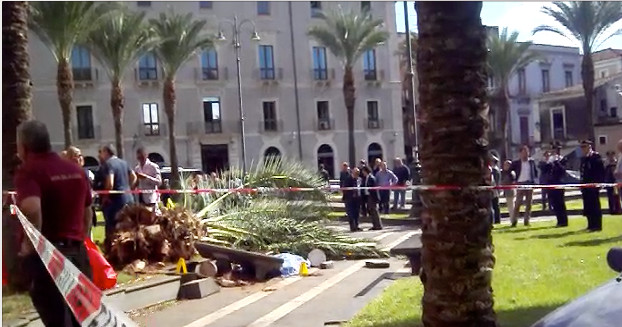Donna uccisa da palma, assolto dirigente Comune di Catania Donna uccisa da palma, assolto dirigente Comune di Catania