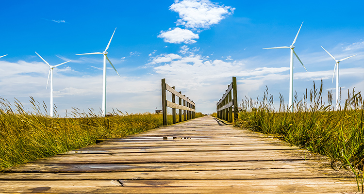 Eolico, Legambiente Sicilia: “Favorevoli al nuovo impianto ma non può essere l’unica soluzione”