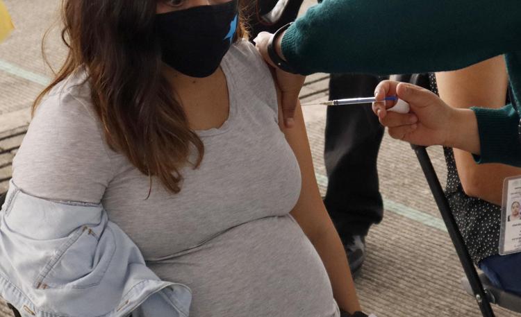 Coronavirus, vaccino in gravidanza, quale scegliere e quando