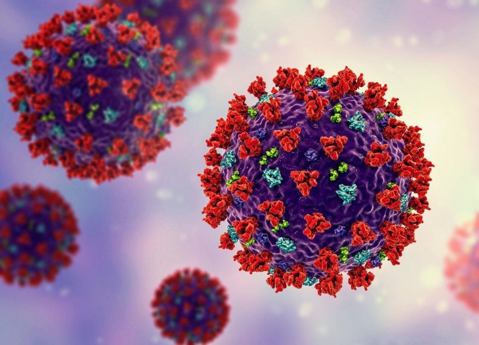 Covid, nuova variante rilevata in Sudafrica, perchè è molto pericolosa