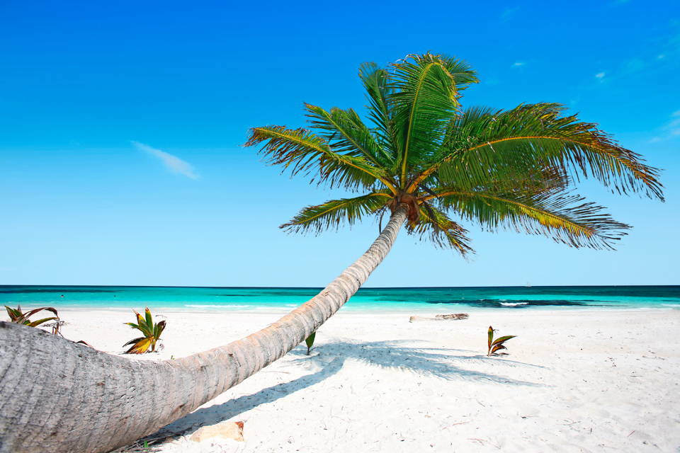 Viaggi extra Ue, ancora vietati dall’Italia, ma qualcosa si muove