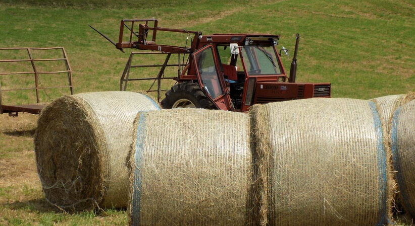 Fondi Pnrr: “Metà dei progetti siciliani sono stati bocciati, rischio di destabilizzare la fragile economia della regione”