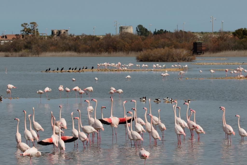Le Saline di Priolo riaprono ai visitatori dopo due anni