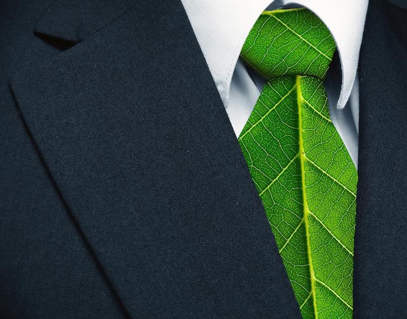 Green jobs, il lavoro verde che c’è… ma spesso mancano le competenze