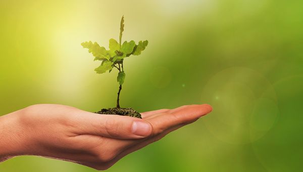 Unicredit sottoscrive minibond sostenibile  da 2 mln di euro emesso da Gustibus Alimentari