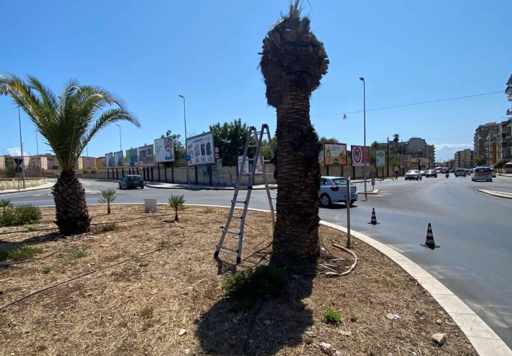 Siracusa, verde pubblico, interventi in zona Nord