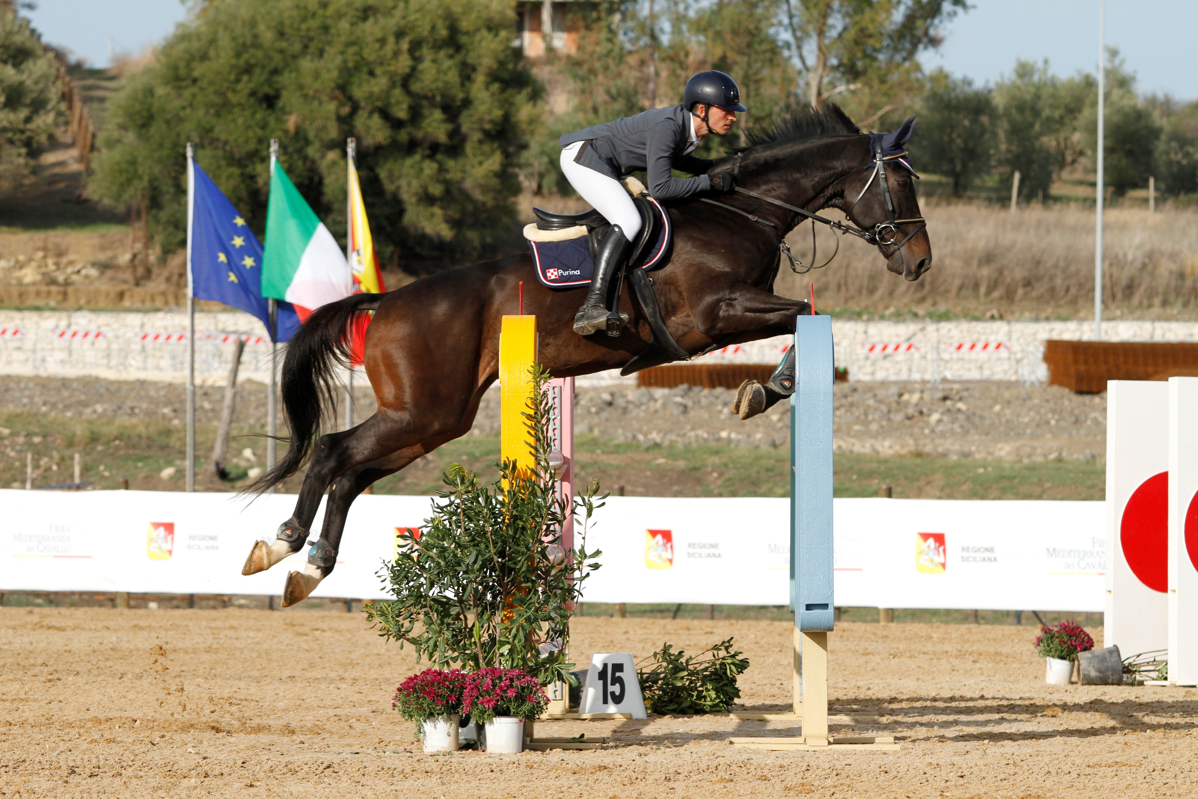 Galleria foto 'Al via al centro equestre di Ambelia la Coppa degli Assi' - foto 1