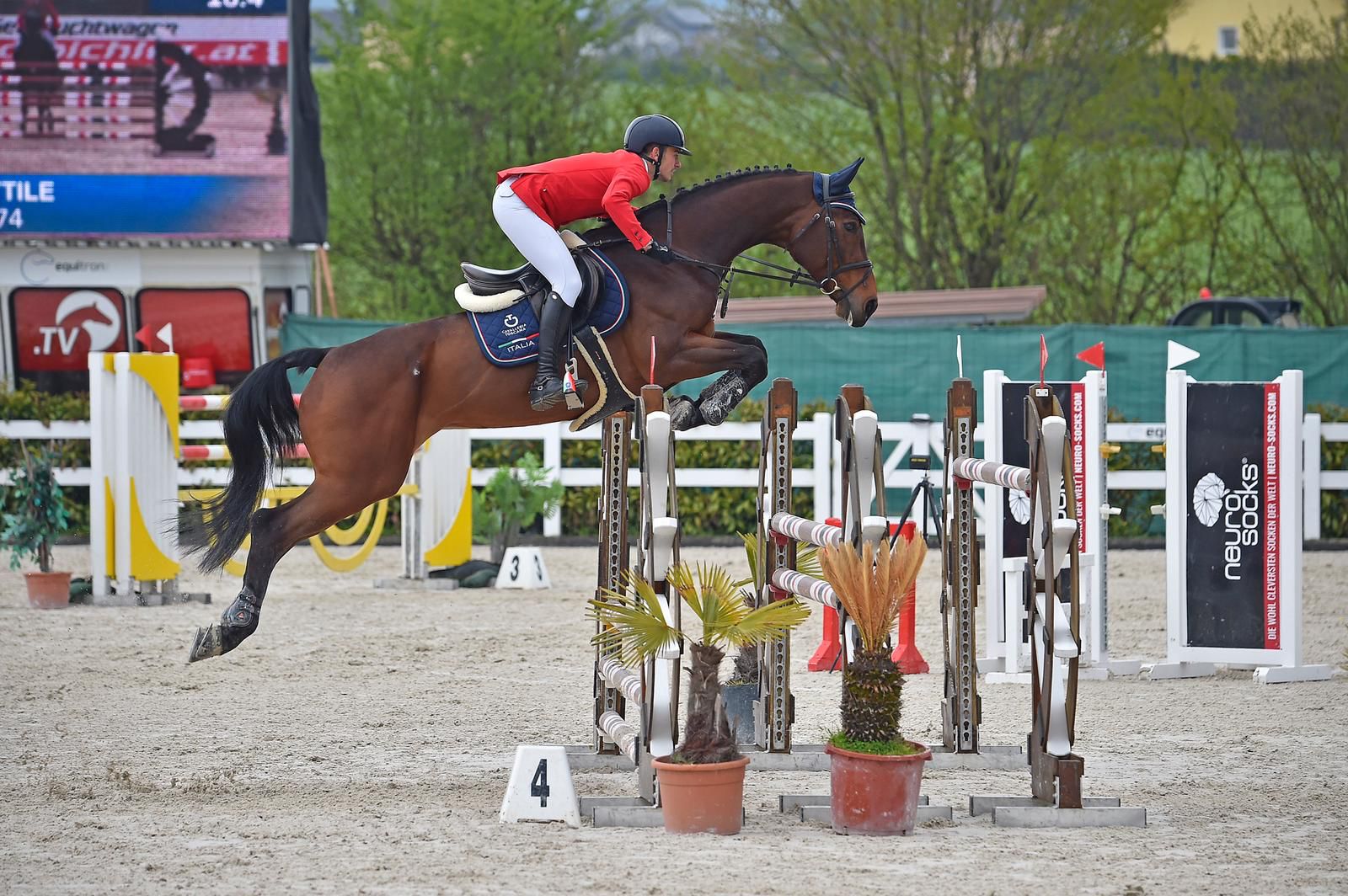Al via al centro equestre di Ambelia la Coppa degli Assi