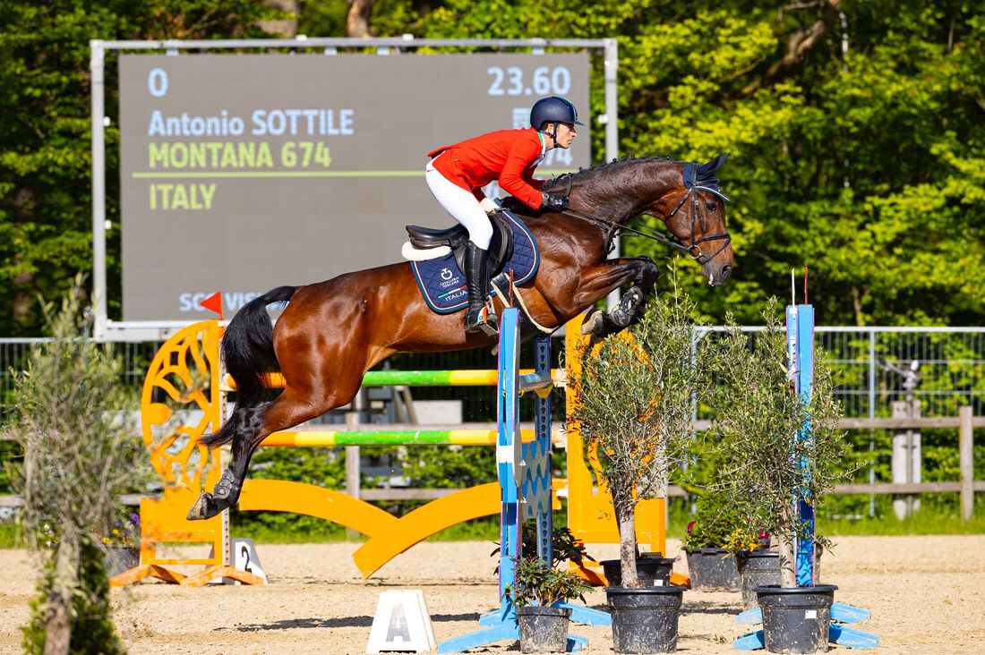 Galleria foto 'Al via al centro equestre di Ambelia la Coppa degli Assi' - foto 2