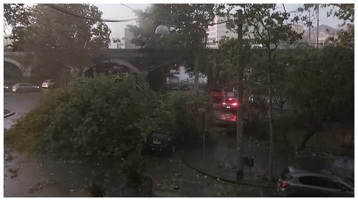 Pioggia torrenziale su Catania e venti di bufera, un gatto “vola” a Paternò VIDEO Pioggia torrenziale su Catania e venti di bufera, un gatto “vola” a Paternò VIDEO