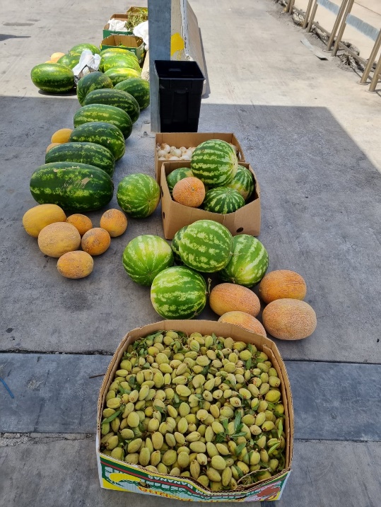 Palermo, sequestrate 3 tonnellate di alimenti importati illecitamente