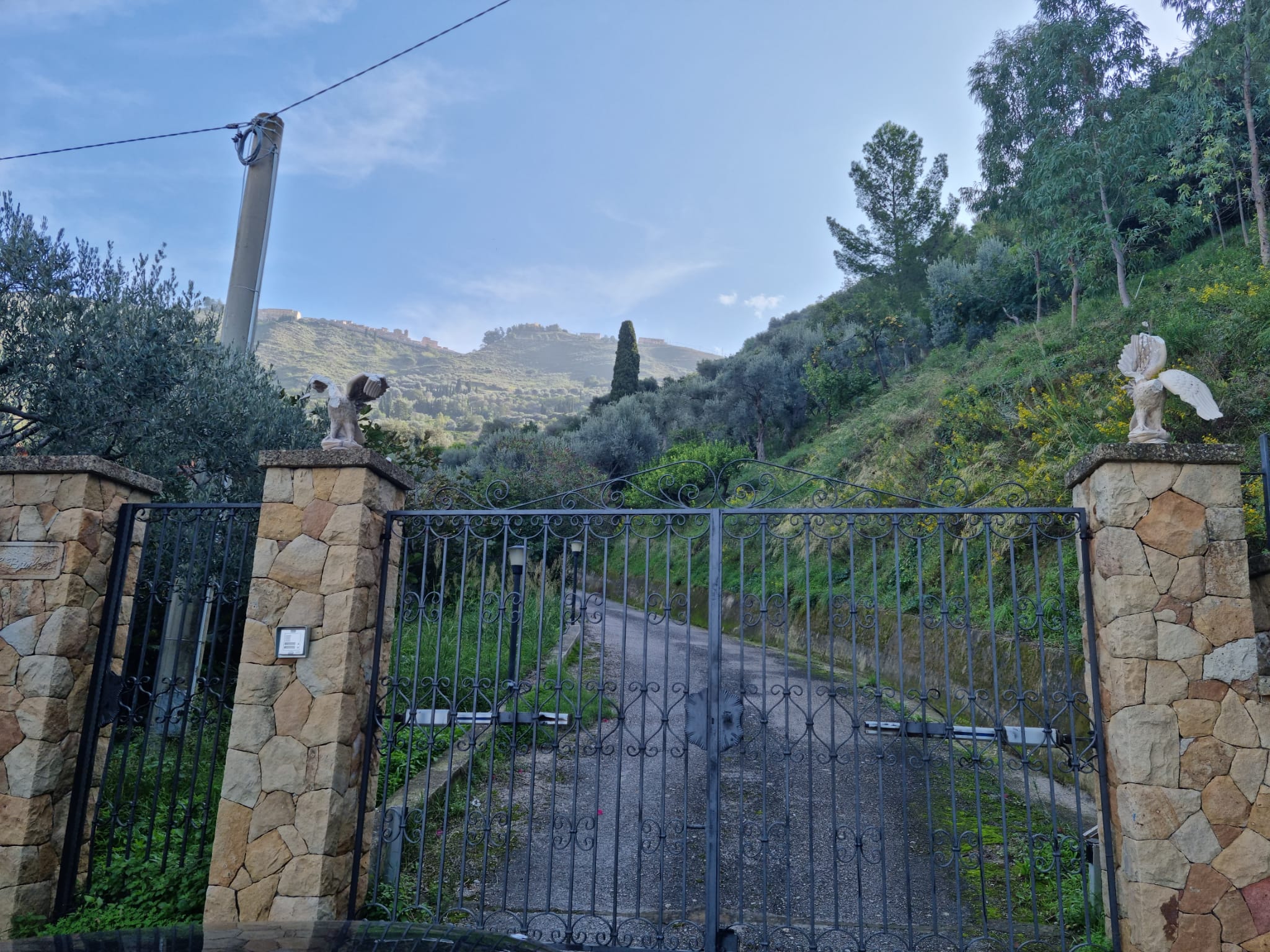 Intimidazione a candidato sindaco di Pettineo, mozzate testa e ali di due aquile