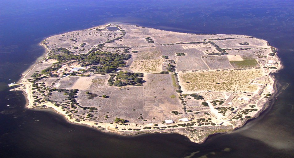 Archeologia in Sicilia, scoperta dea Astarte/Afrodite su isola di Mothia