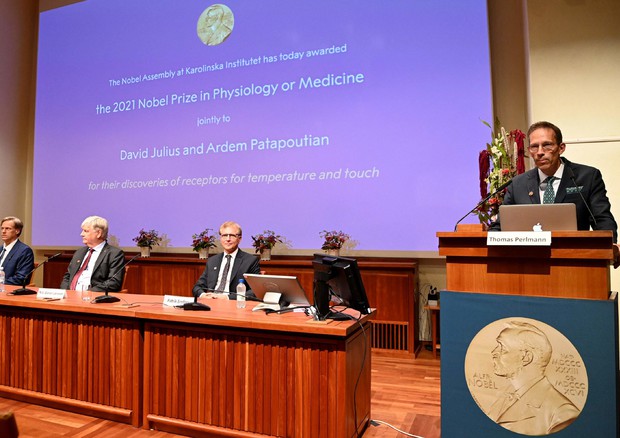 Nobel Medicina 2021 a Julius e Patapoutian, la scoperta dei ricettori del tatto