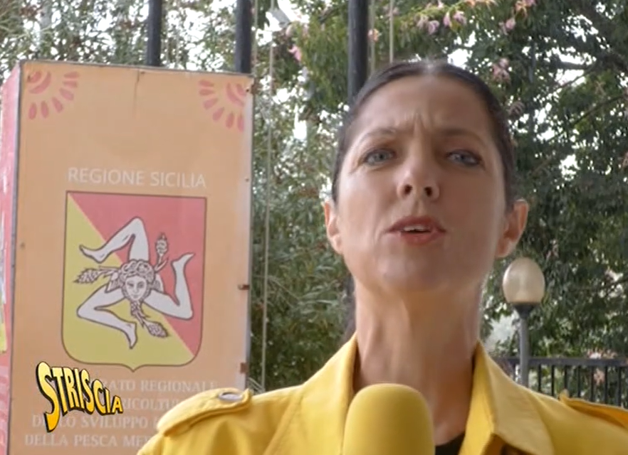 Regione, progetti bocciati e premi di risultato, Striscia la notizia cita il QdS