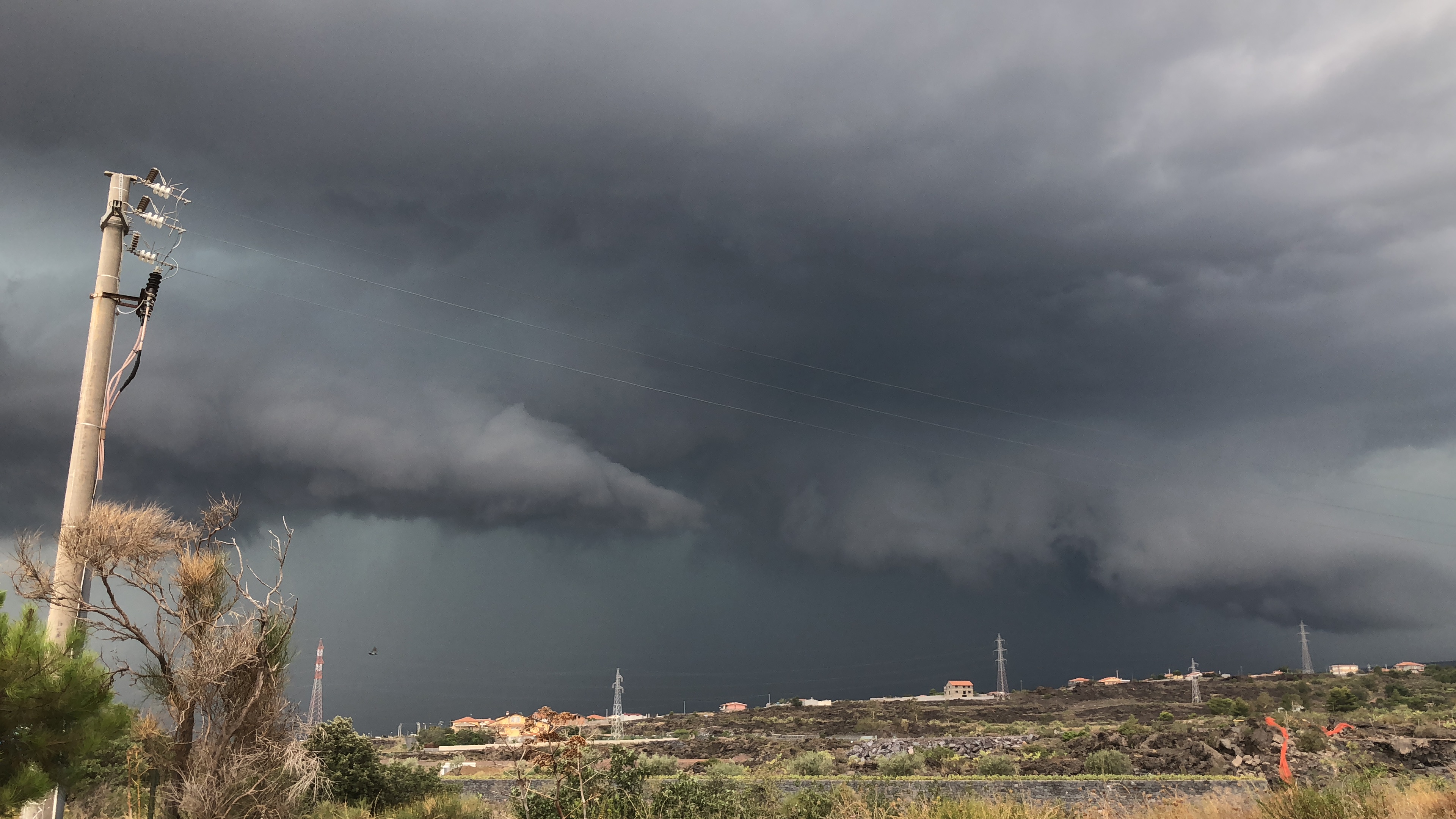 Pioggia torrenziale su Catania e venti di bufera, un gatto “vola” a Paternò VIDEO Pioggia torrenziale su Catania e venti di bufera, un gatto “vola” a Paternò VIDEO