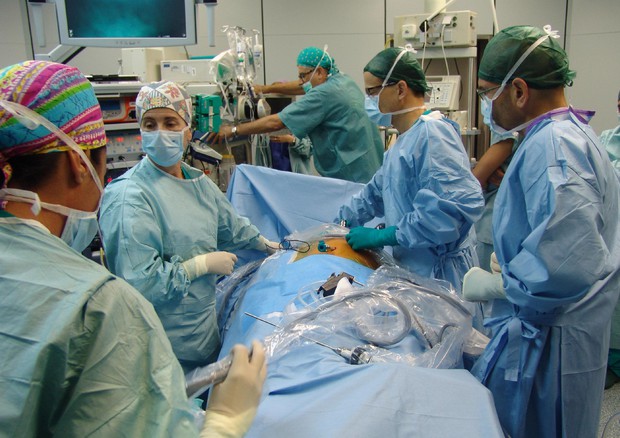 Primo trapianto di un rene da animale a uomo, al via sperimentazione