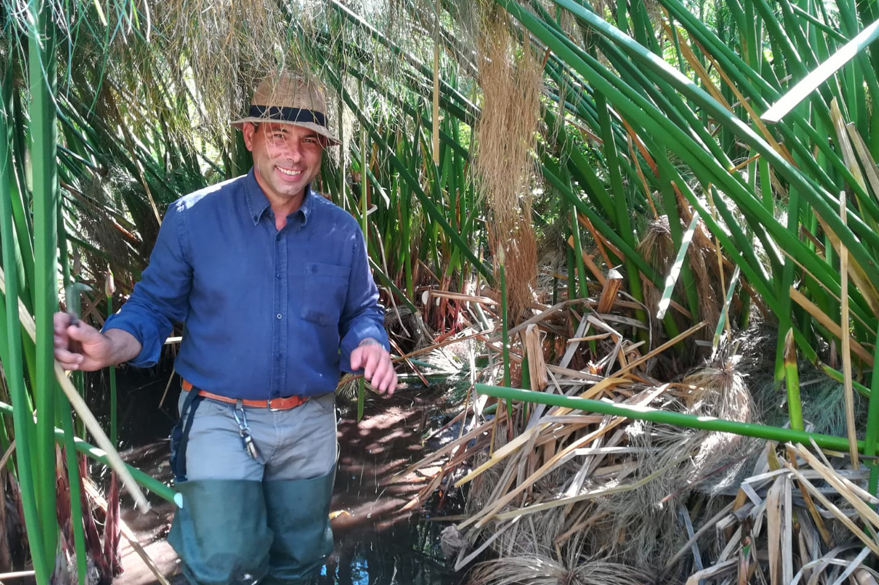 La Sicilia “d’Egitto” che coltiva ancora oggi il papiro