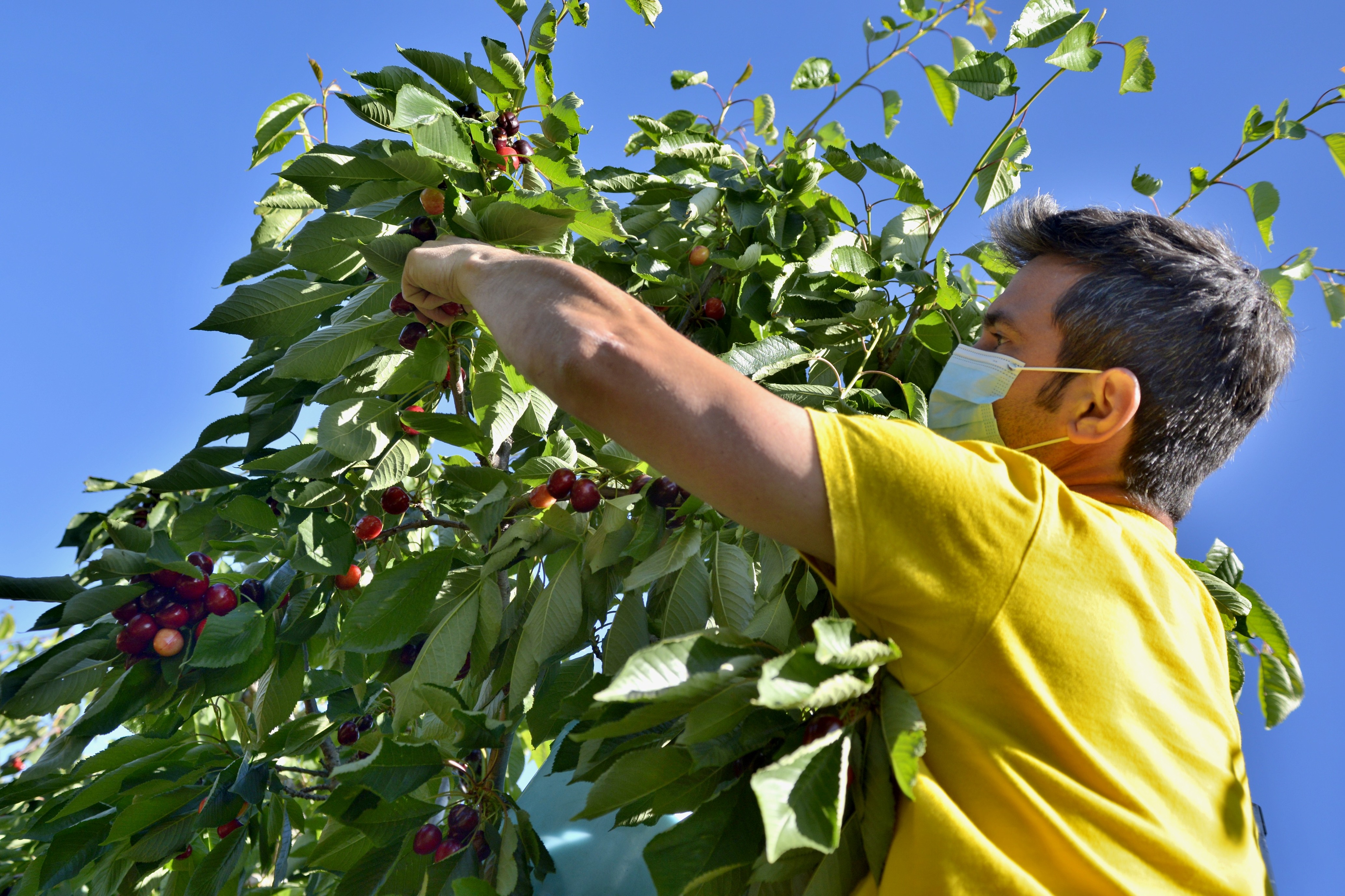 Agricoltura sociale, arriva l’albo regionale degli operatori