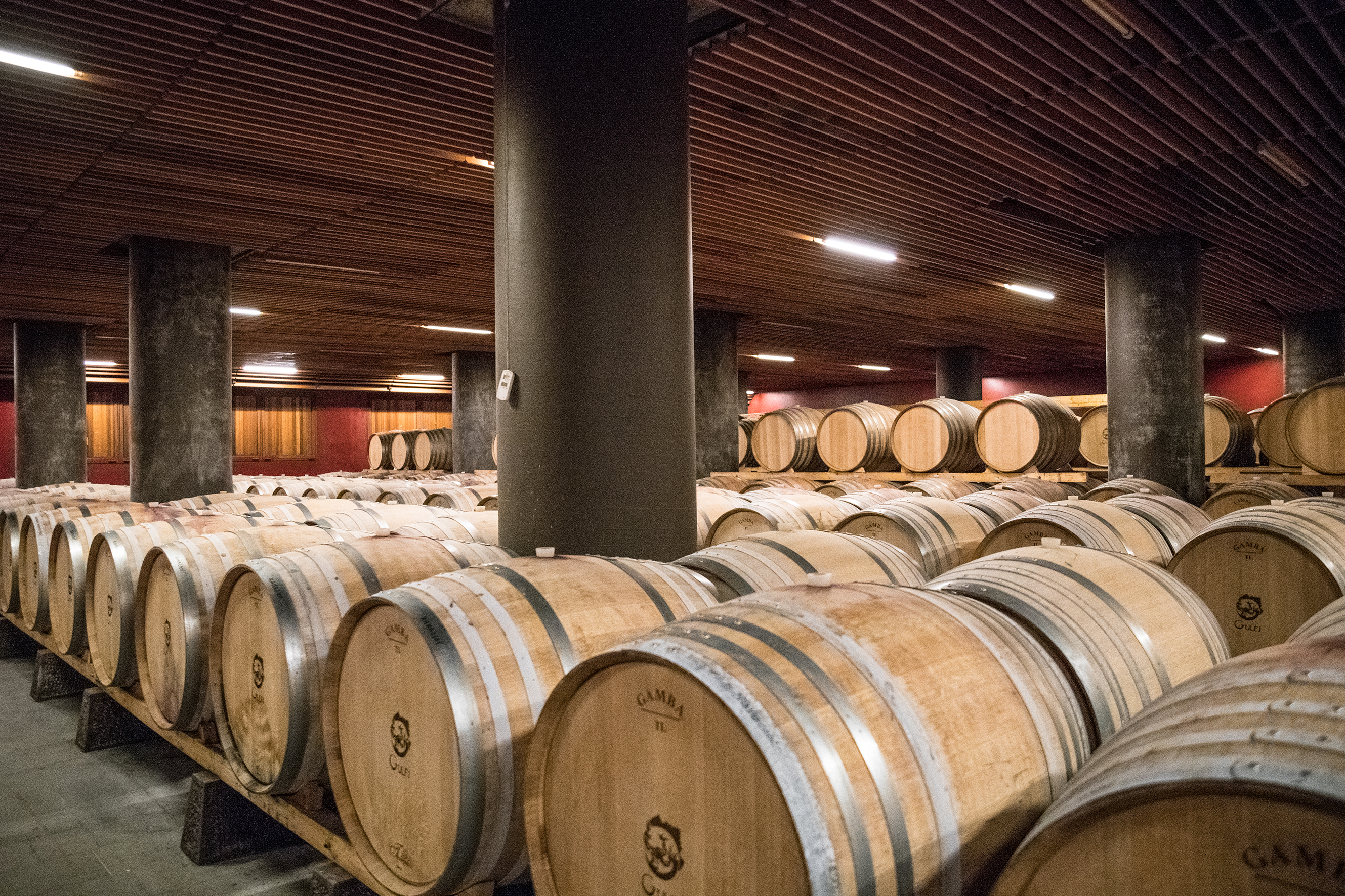 Vino, dalla Brianza all’Isola inseguendo l’eccellenza