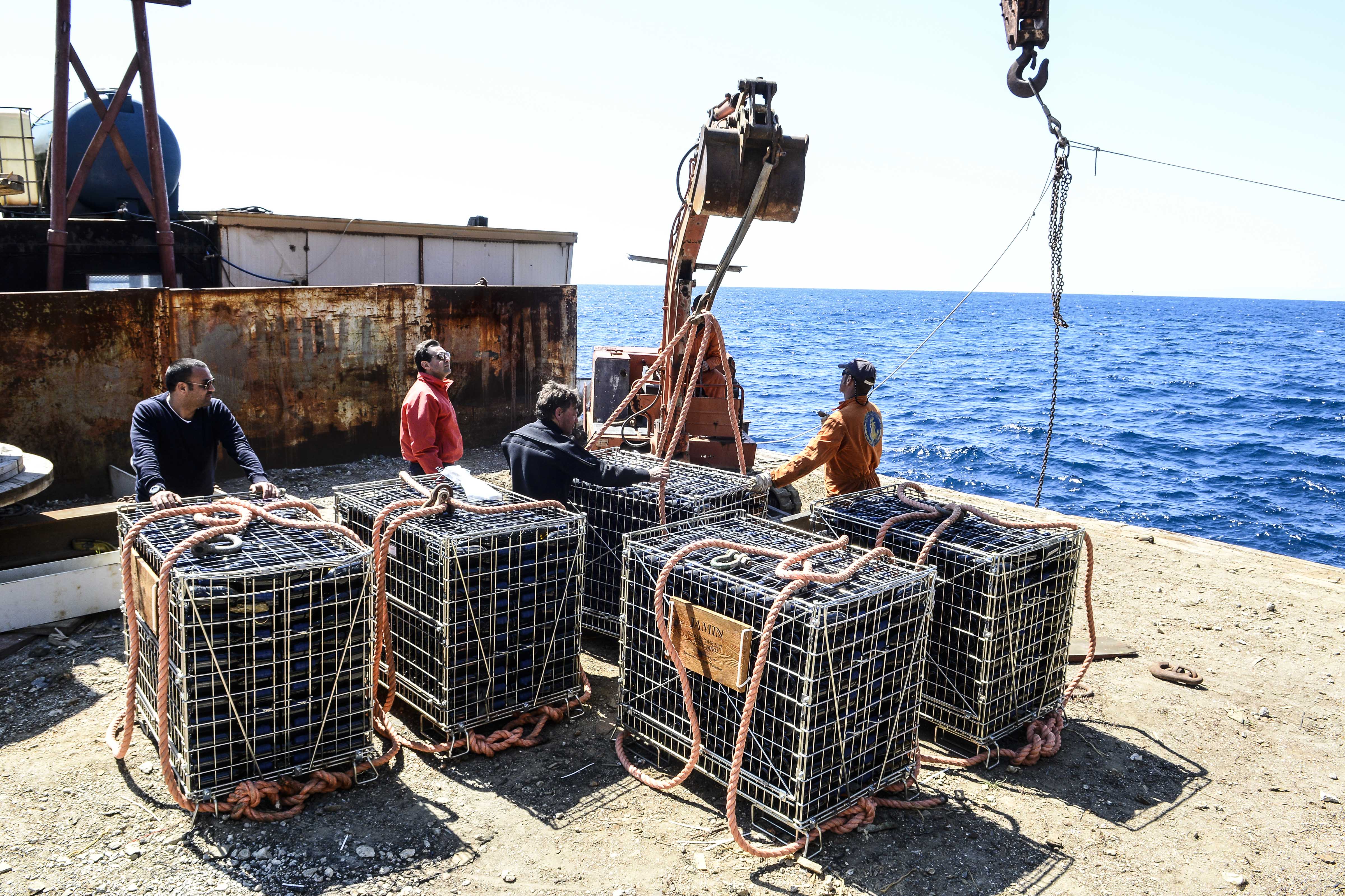 Vini, Marsala e Etna rosa tra gli Under Water Wines