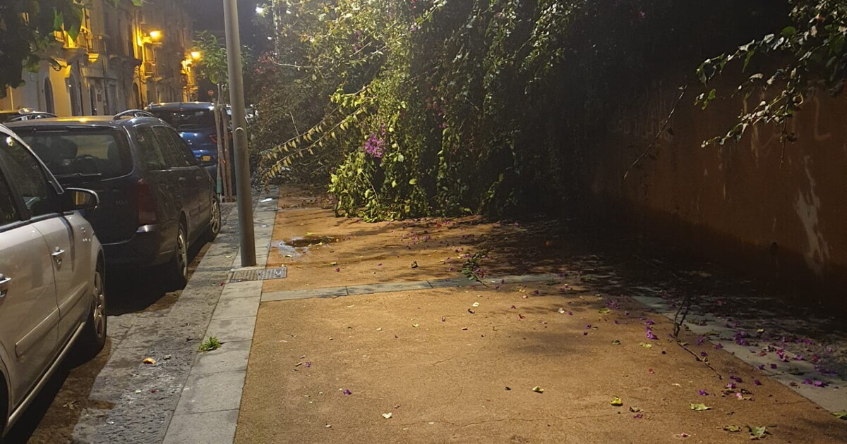 Catania, pista ciclabile del centro, è rebus sulla riqualificazione