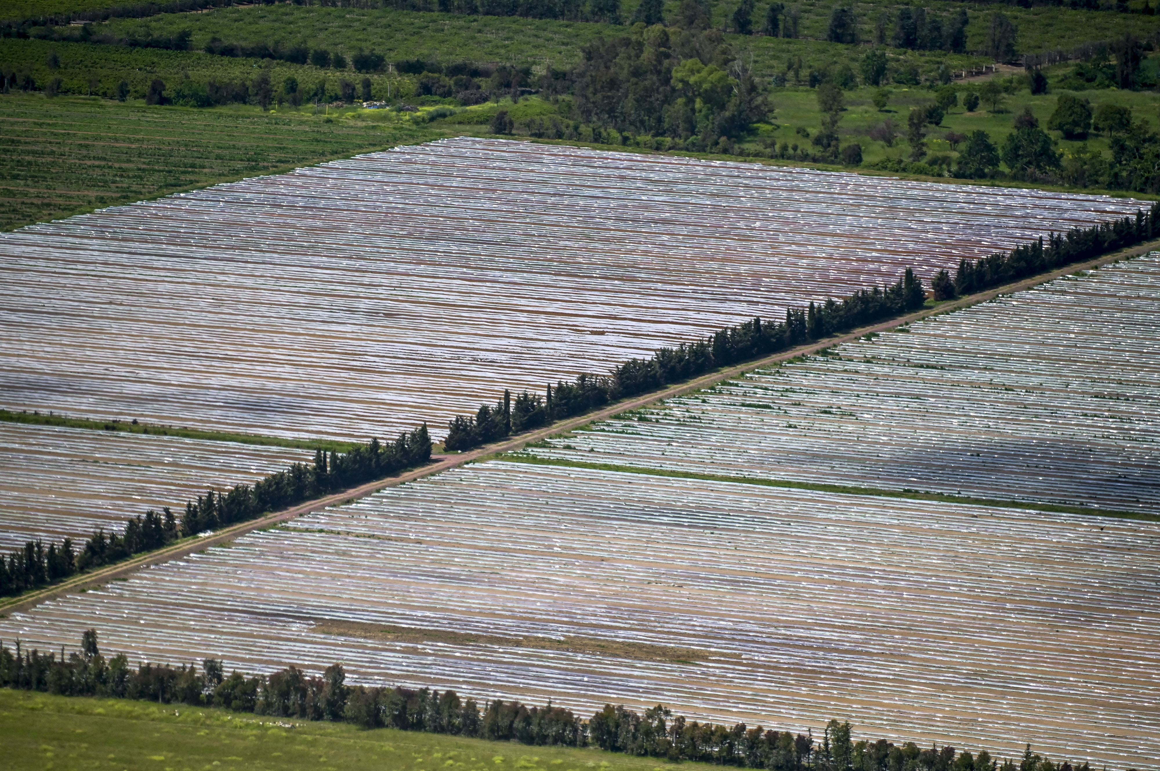 Disastro maltempo, “Agricoltori disperati, servono ristori ed esonero tasse”