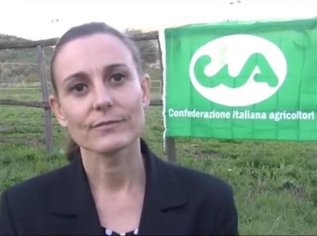 Danni da maltempo in agricoltura, Cia Sicilia chiede stato di calamità Danni da maltempo in agricoltura, Cia Sicilia chiede stato di calamità