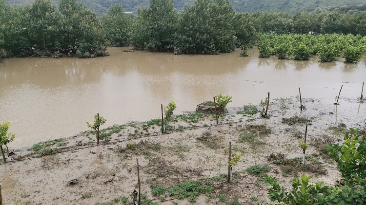 Emergenza maltempo, danni incalcolabili per l’agricoltura