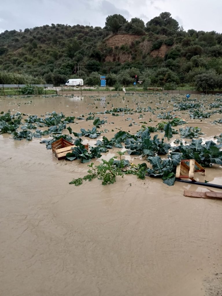 Maltempo in Sicilia, Madonie in ginocchio, il racconto dei sindaci