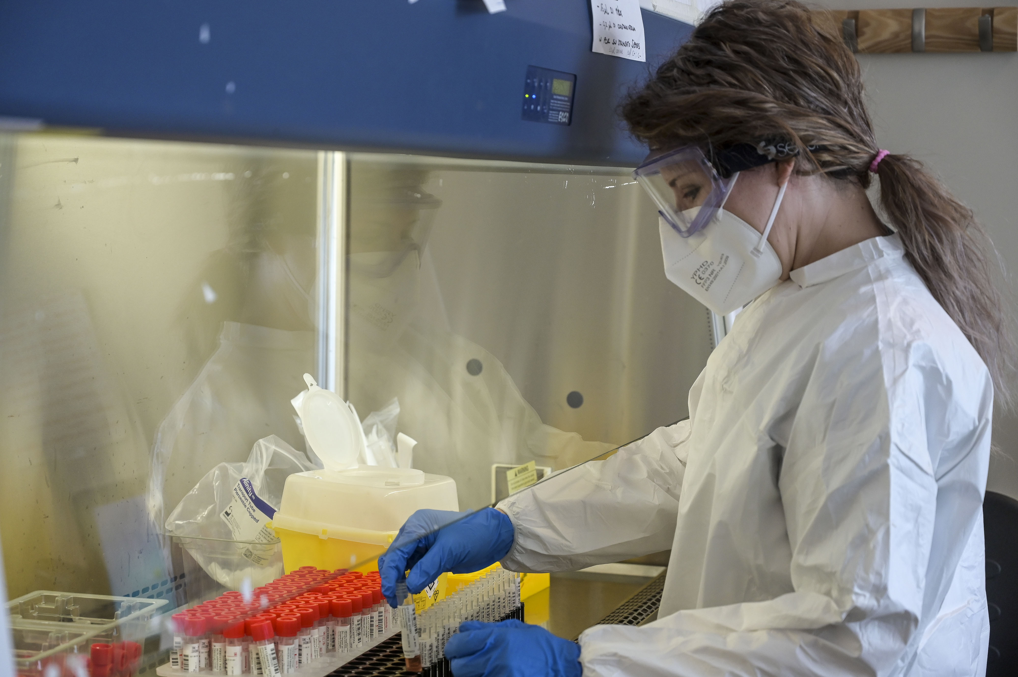 La pillola anti Covid di Pfizer riduce ricoveri e decessi dell’89%