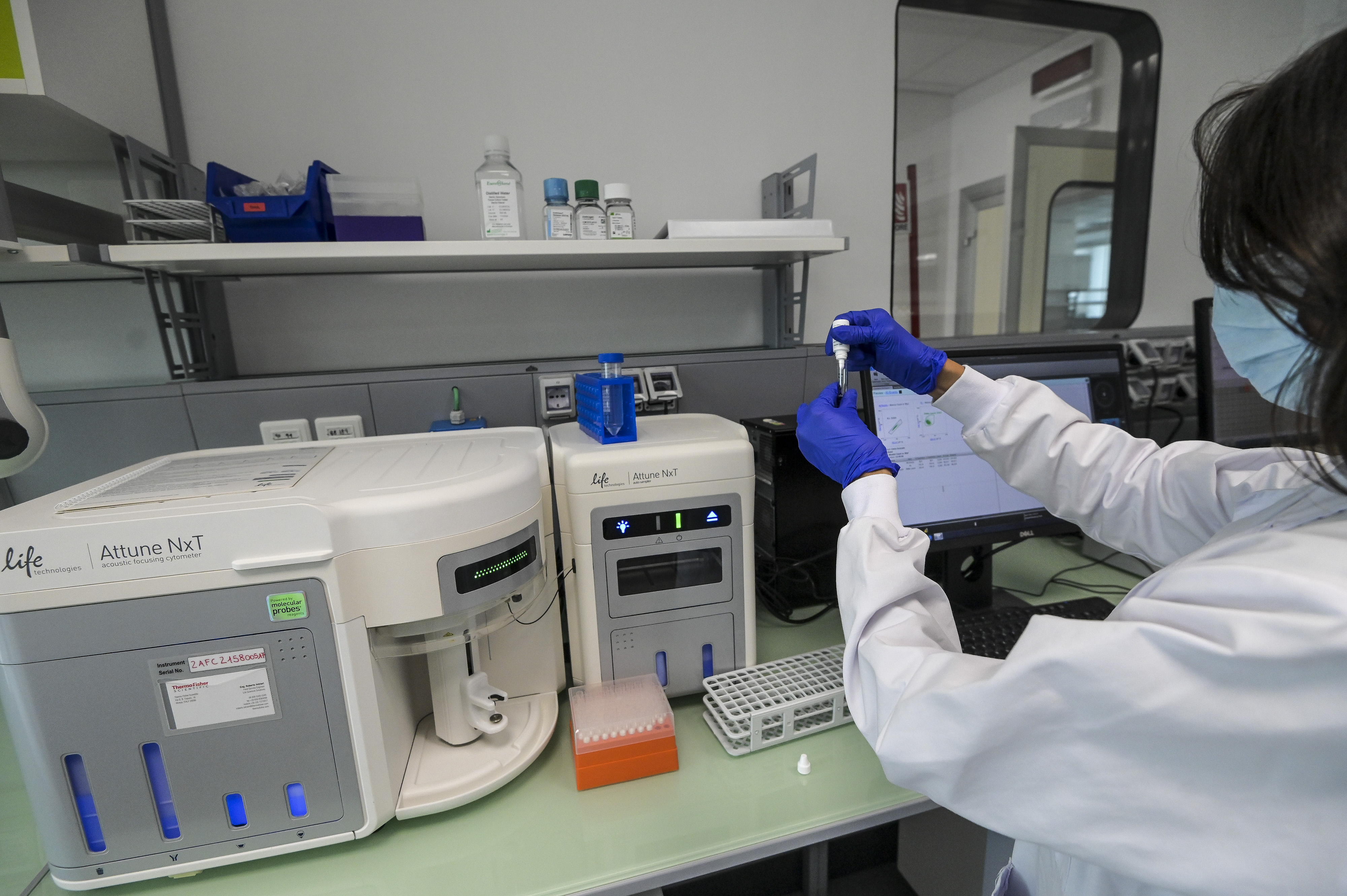 La variante sudafricana arriva in Europa, primo caso in Belgio