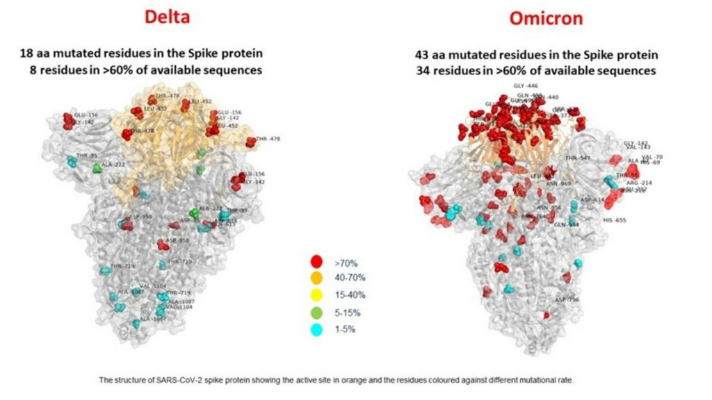 Variante Omicron in Italia, è pericolosa? Cosa sappiamo sull’ultima variante Covid