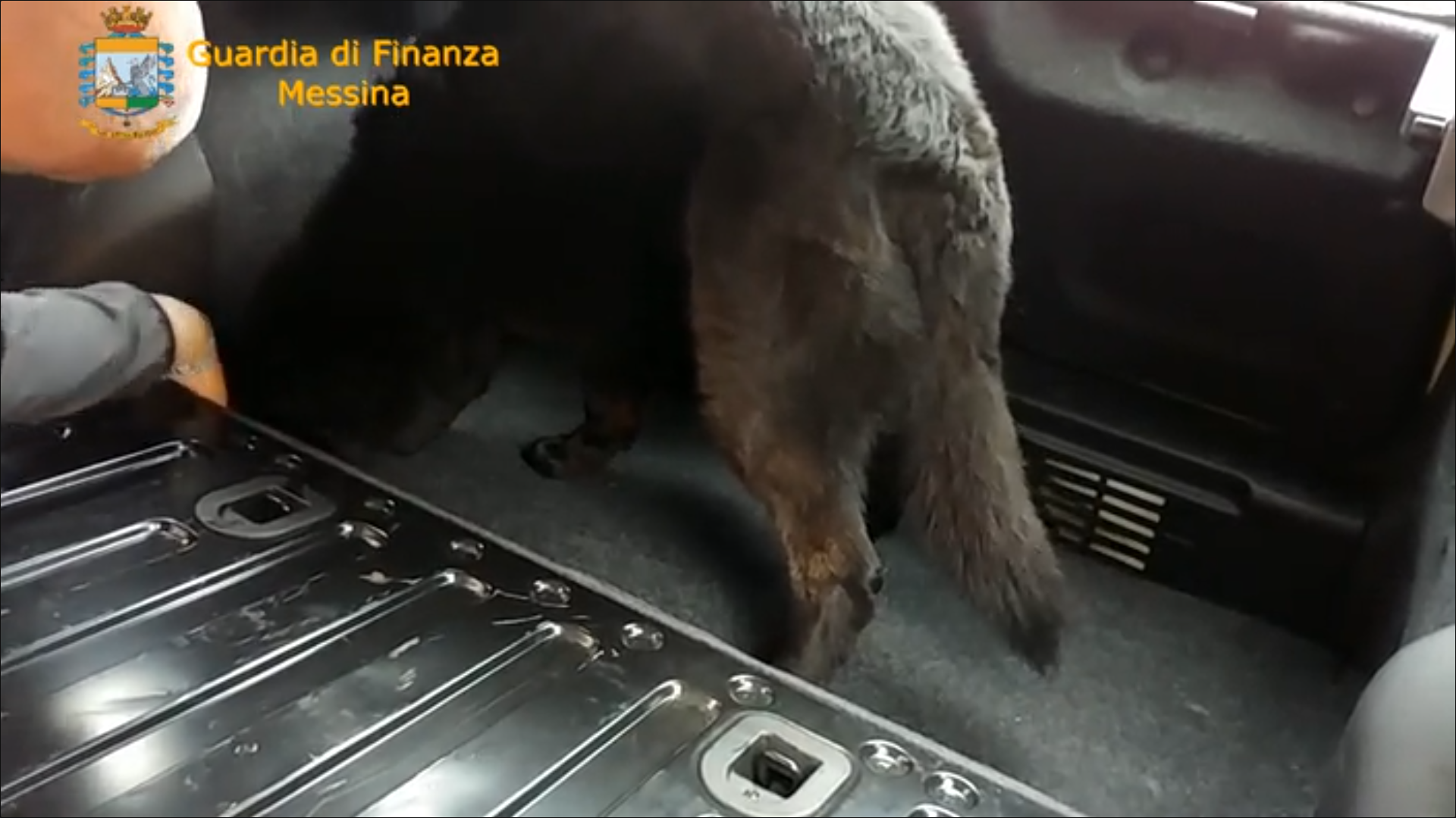 Messina, la Finanza sequestra cocaina per 130.000 euro