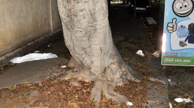Palermo e le sue morti per cause naturali