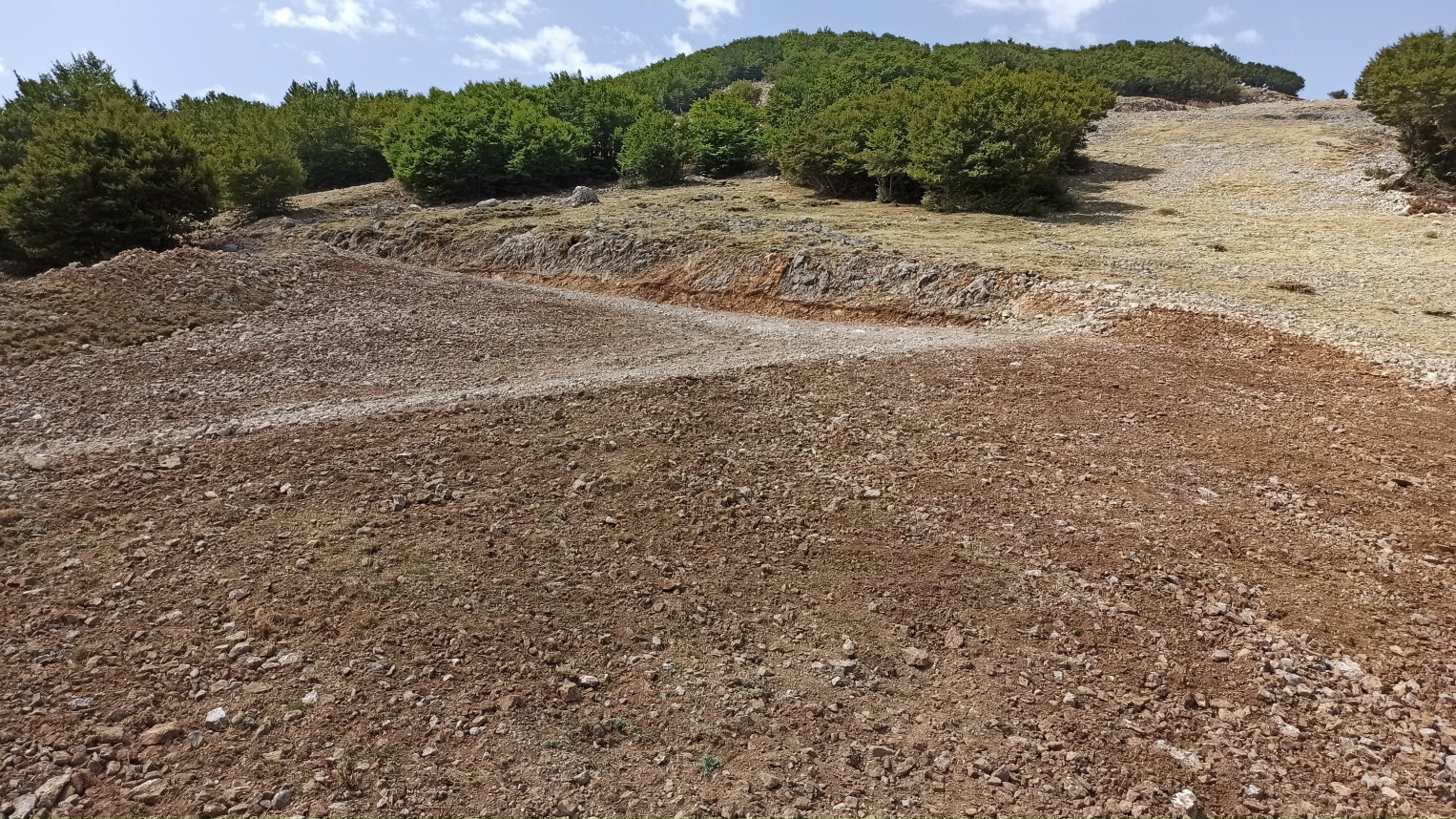Piano Battaglia, omologata la pista da discesa “Sparviero” Piano Battaglia, omologata la pista da discesa “Sparviero”