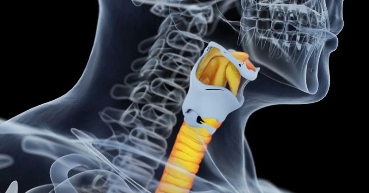 Covid e danni alla trachea, trapianto nuova frontiera