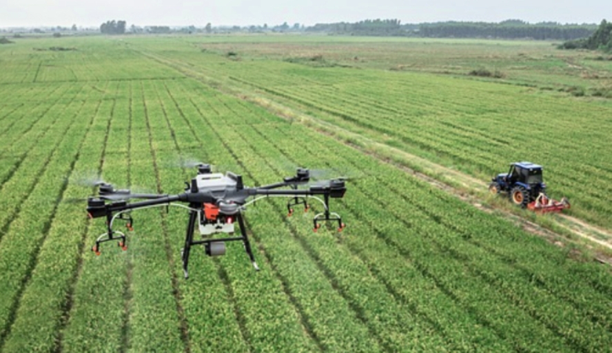 Psr Sicilia, bando da 6 milioni di euro per l’innovazione del settore agricolo