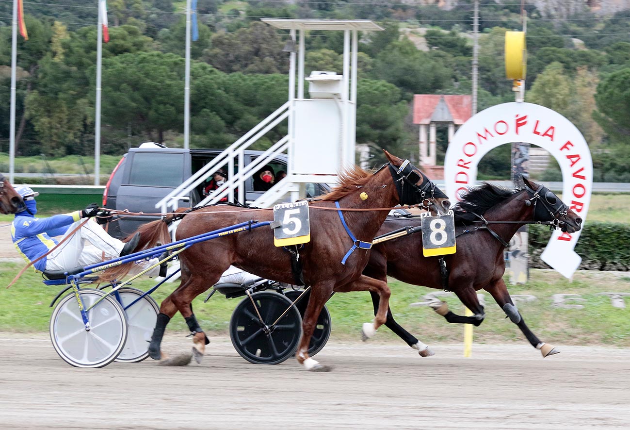 Ippodromo, Davide Di Stefano su Bordline Pask vince il Trofeo di San Silvestro