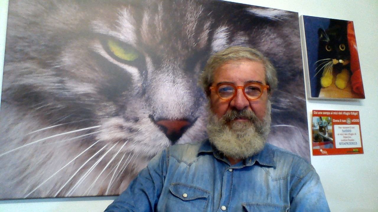 Rifugio del Gatto a Palermo, l’iter adottivo e come aiutare i piccoli amici Rifugio del Gatto a Palermo, l’iter adottivo e come aiutare i piccoli amici