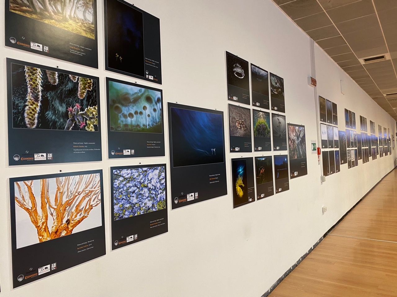 La mostra di Gesap a Palermo sul patrimonio artistico della terra