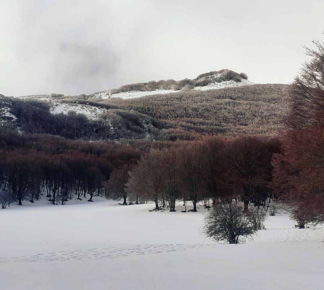 Piano Battaglia, l’assessore Cordaro assicura: “Tempi certi per il rilancio”