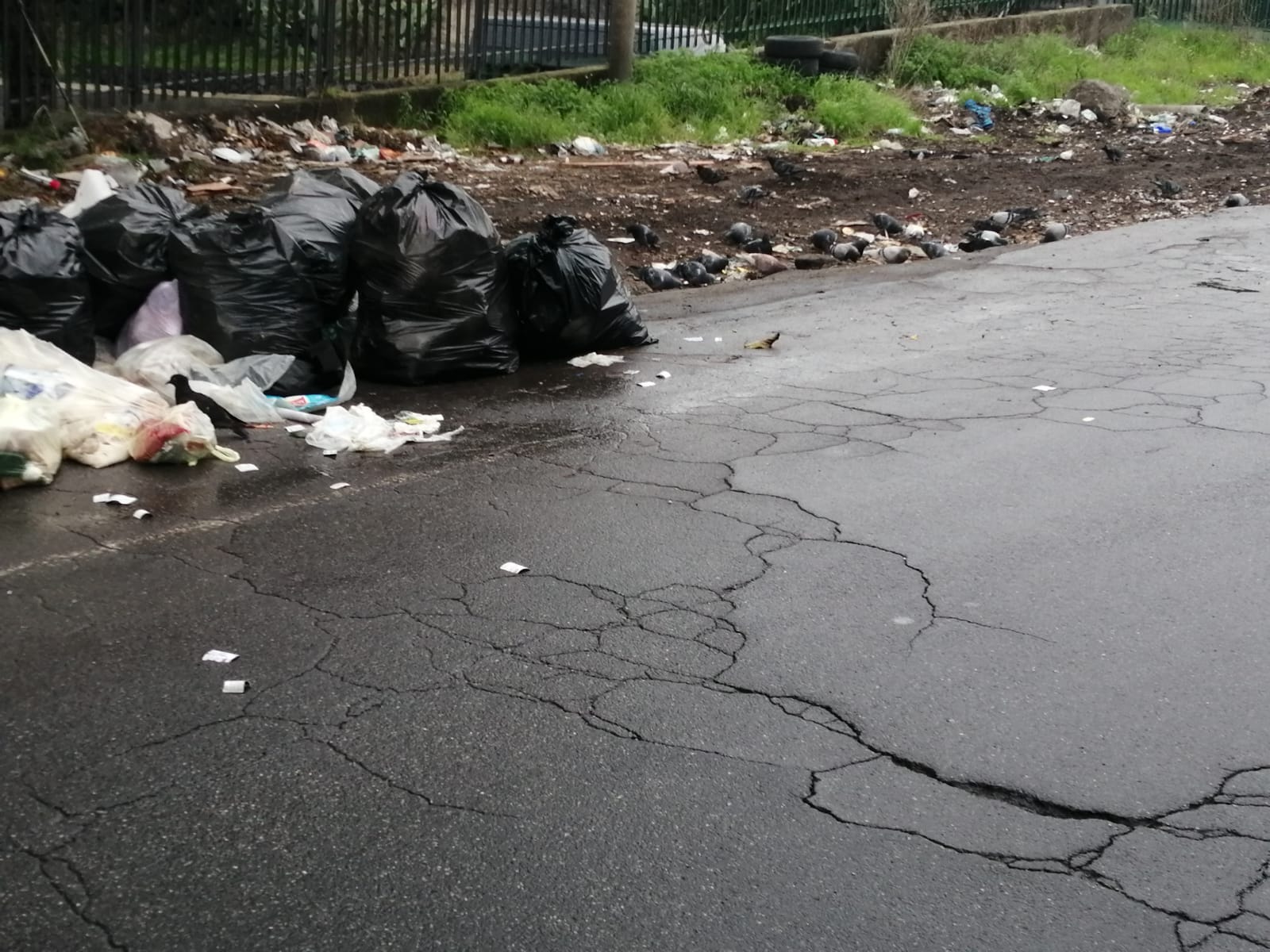 San Giovanni Galermo,  buche da incubo e disagi post-maltempo