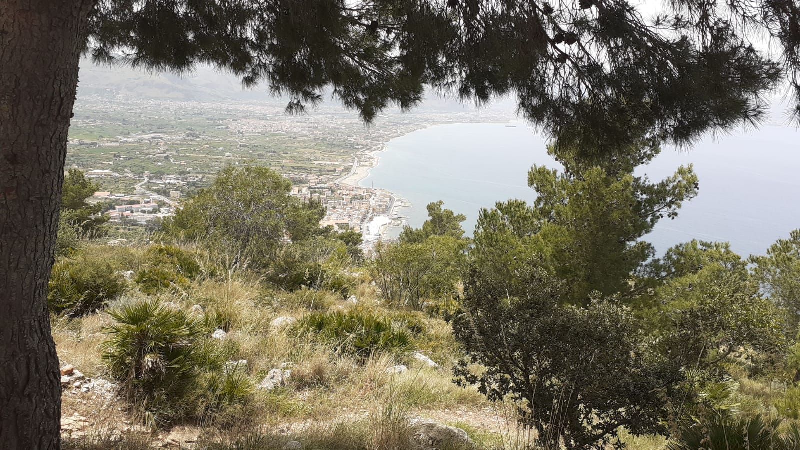 Bagheria in cerca di partner per gestire Monte Catalfano Bagheria in cerca di partner per gestire Monte Catalfano