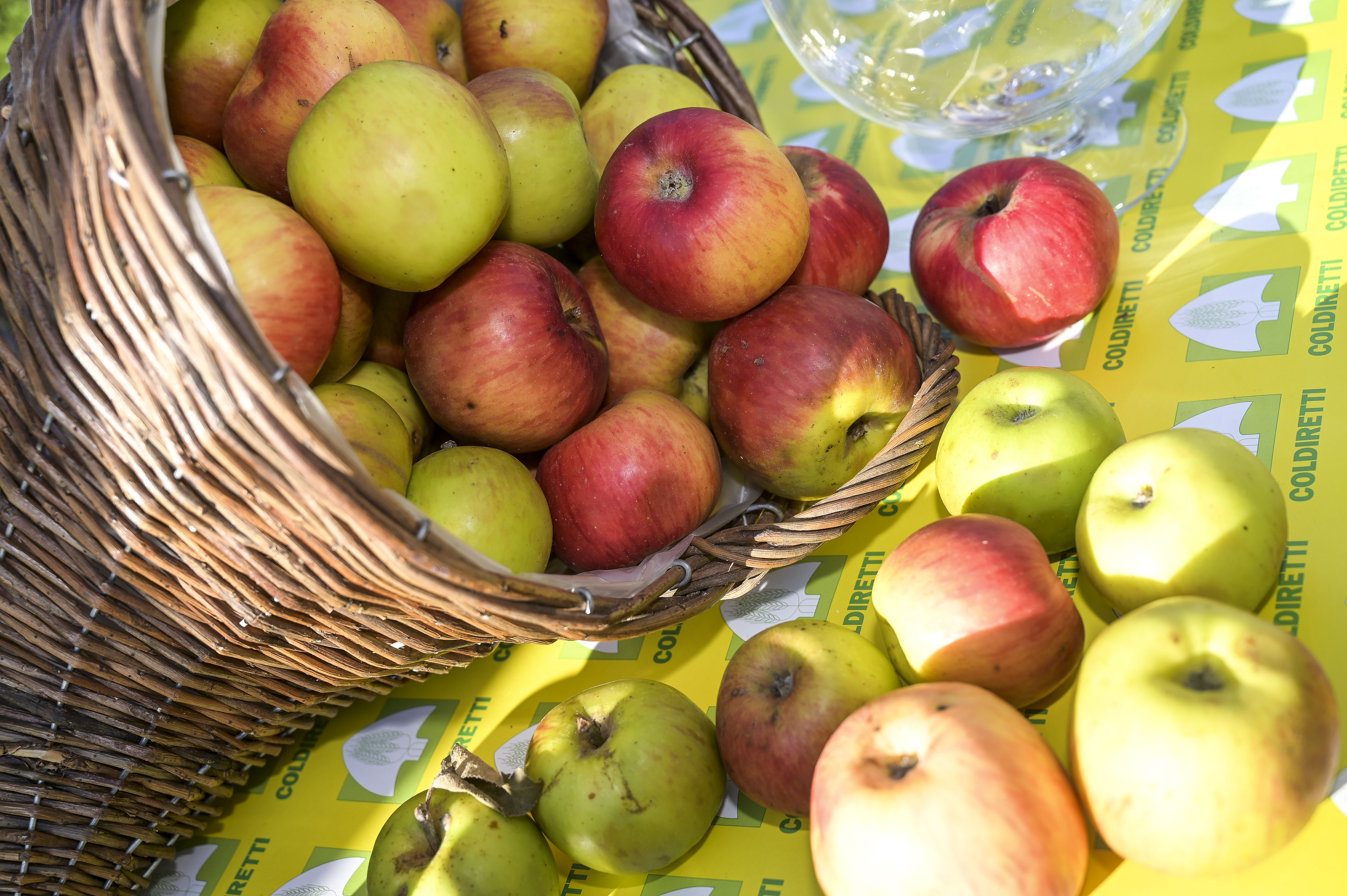 Agricoltura, dal Psr Sicilia 2014-22 sostegno all’attività di promozione