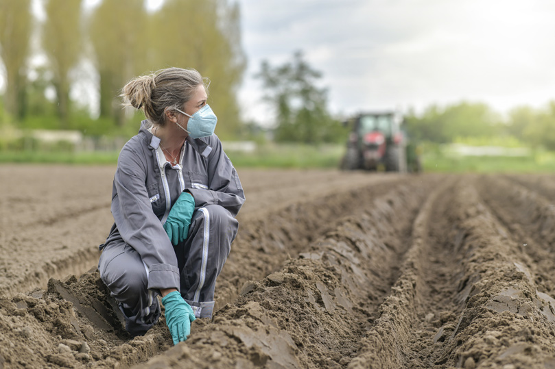 Aiuti agli agricoltori, sì solo a un quarto delle richieste