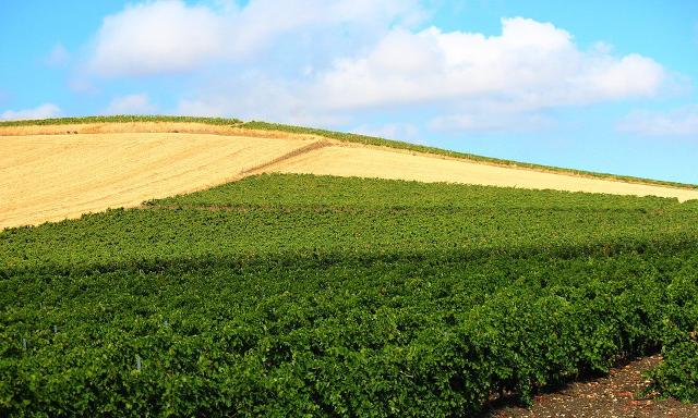 Il Gal Terra barocca punta sul turismo sostenibile