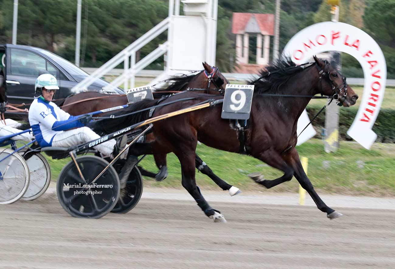Ippica Palermo, Buzzitta con Callisto trionfa nel centrale