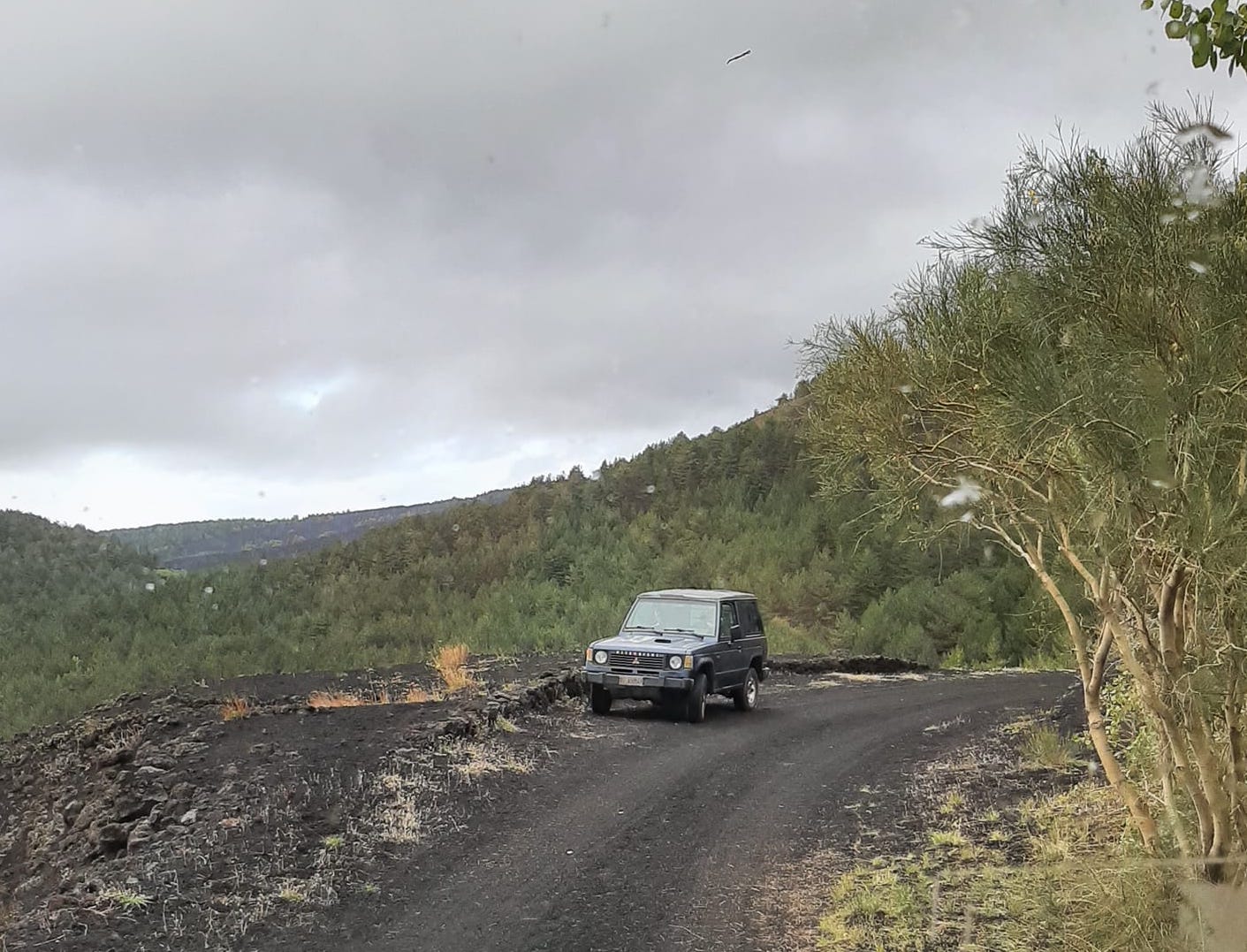 Parco dell’Etna, no della Regione a bus: la reazione di Caputo