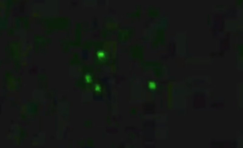 Avvistamenti Ufo 2021, da Palermo a Santa Maria di Licodia – VIDEO